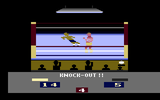 RealSport Boxing Screenshot