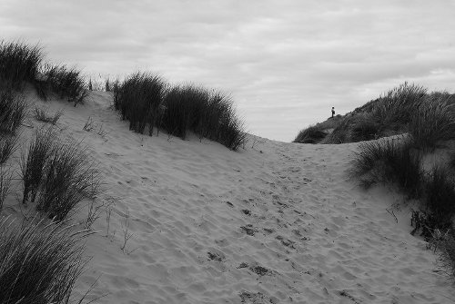 figure on dunes